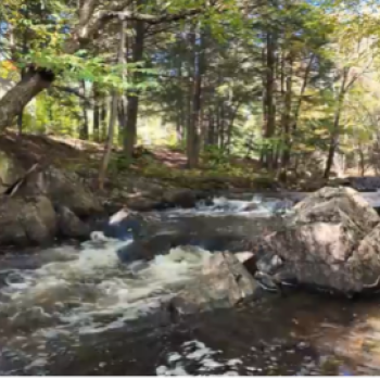 La rivière